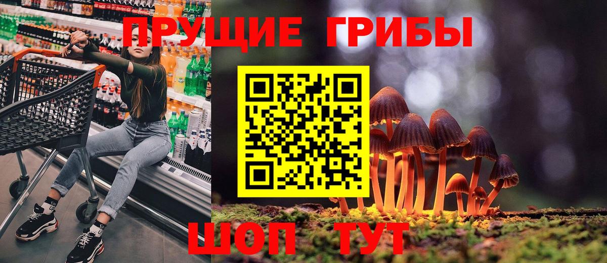 A PVP Протвино