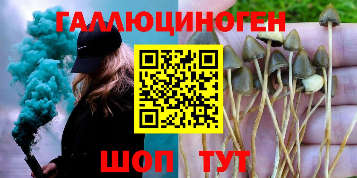 Псилоцибиновые грибы мухоморы  Галлюциногенные грибы Magic Shrooms  Протвино  Вход с VPN 