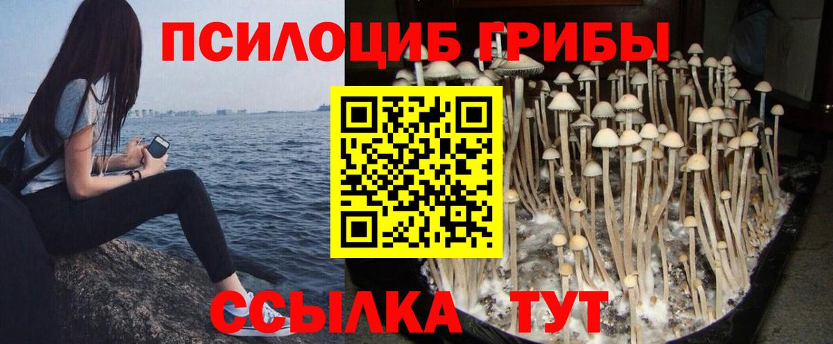 Псилоцибиновые грибы Magic Shrooms Протвино